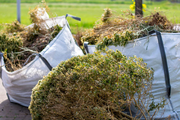 Best Commercial Cleanout Services  in Henning, TN