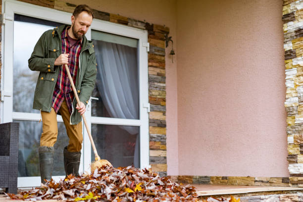 Best Electronics Removal Services  in Henning, TN